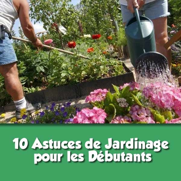 10 Astuces de Jardinage pour les Débutants : Guide Complet pour